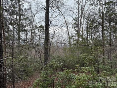 0 Shady Bark Lane Rutherfordton NC 28139