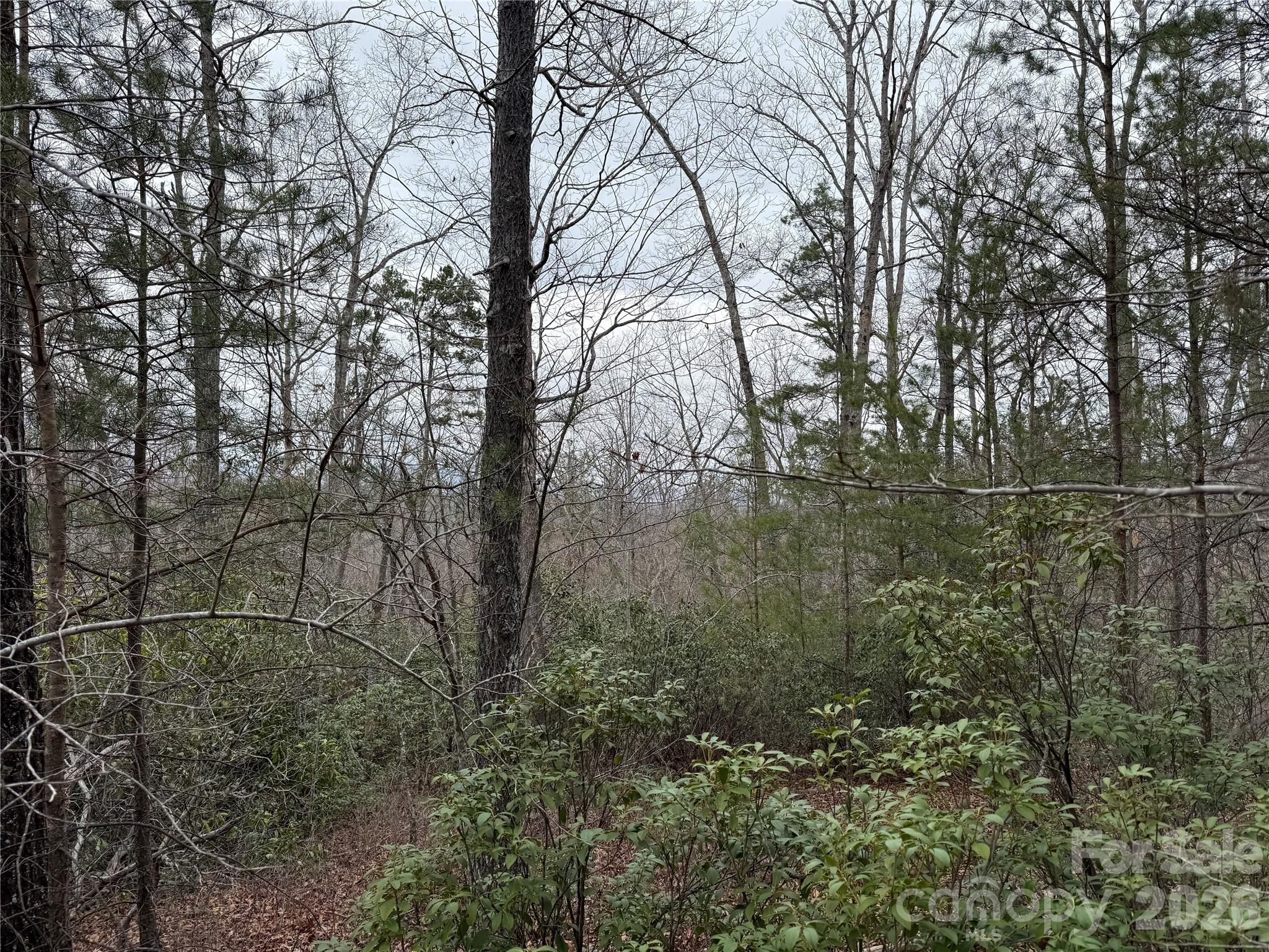 0 Shady Bark Lane Rutherfordton NC 28139