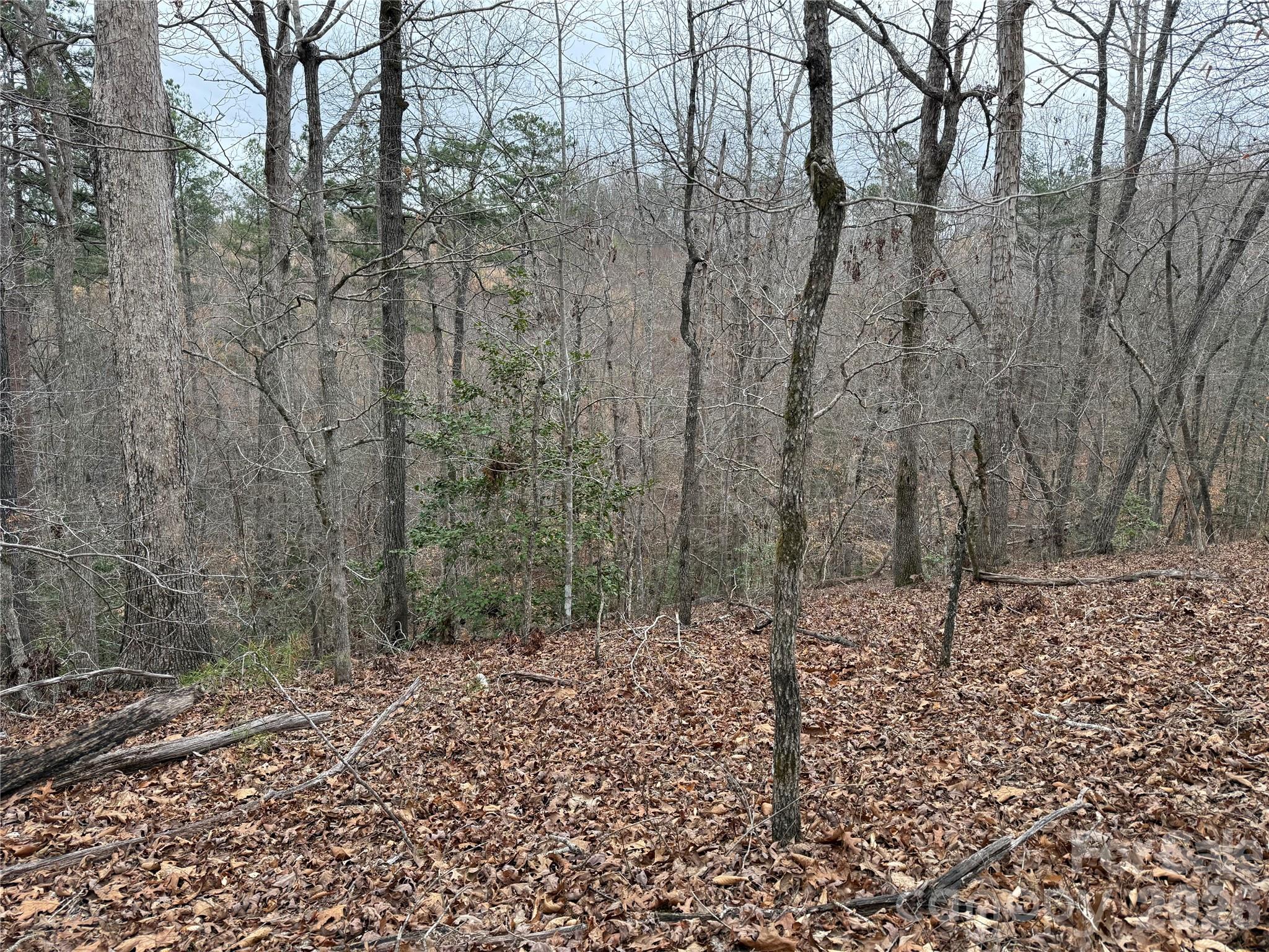 0 Shady Bark Lane Rutherfordton NC 28139