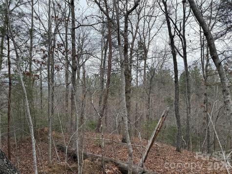 0 Shady Bark Lane Rutherfordton NC 28139