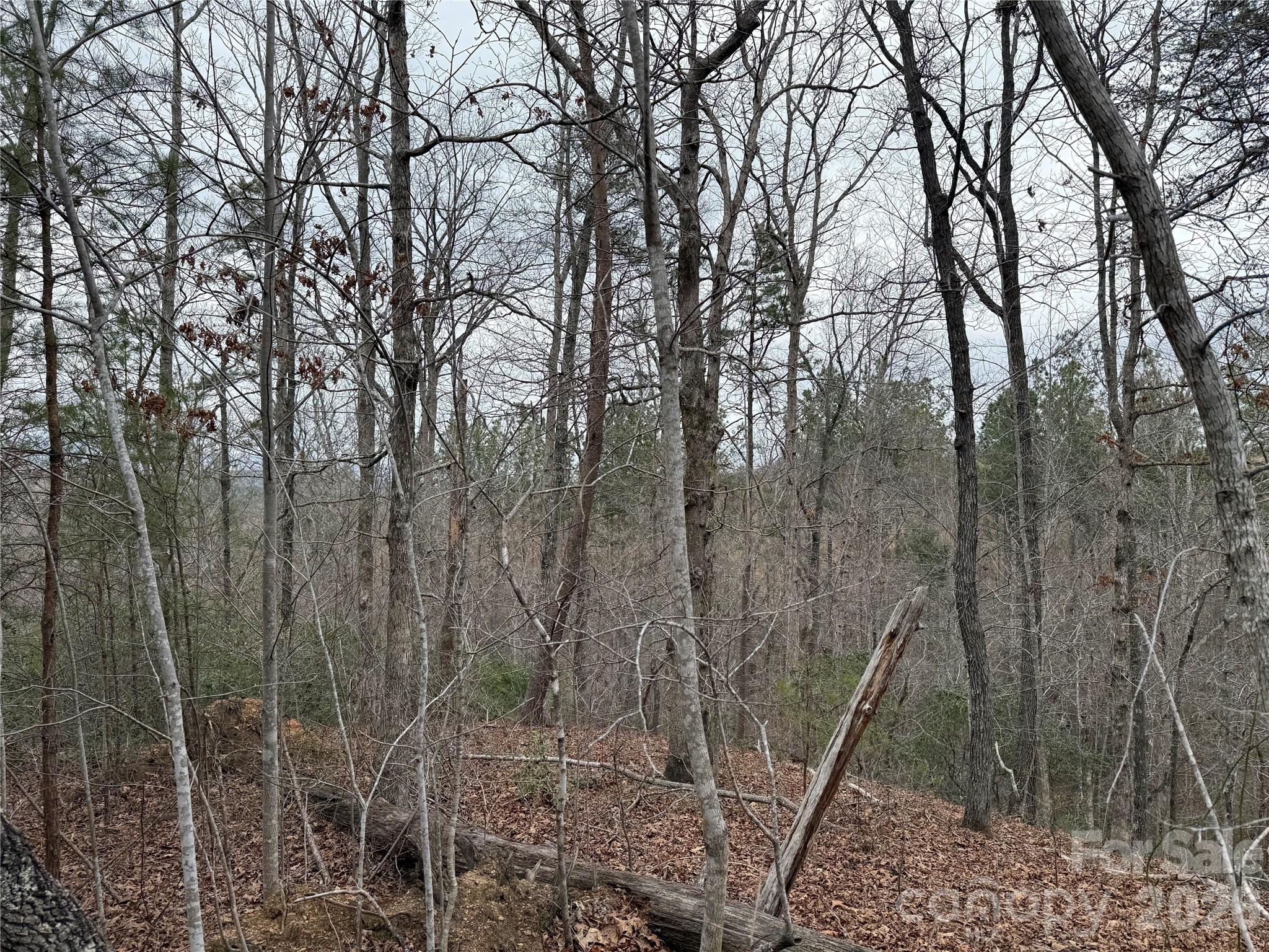 0 Shady Bark Lane Rutherfordton NC 28139