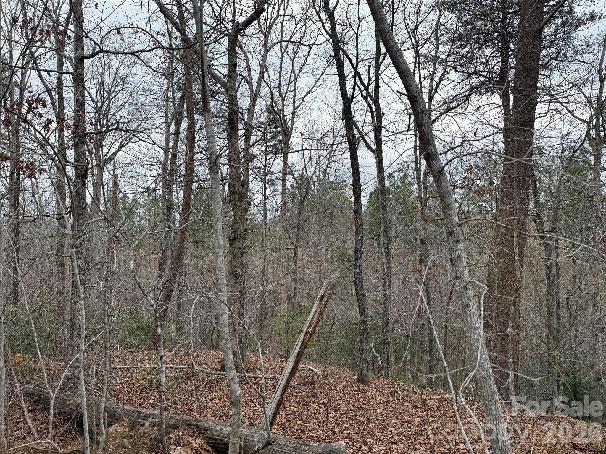 0 Shady Bark Lane Rutherfordton NC 28139