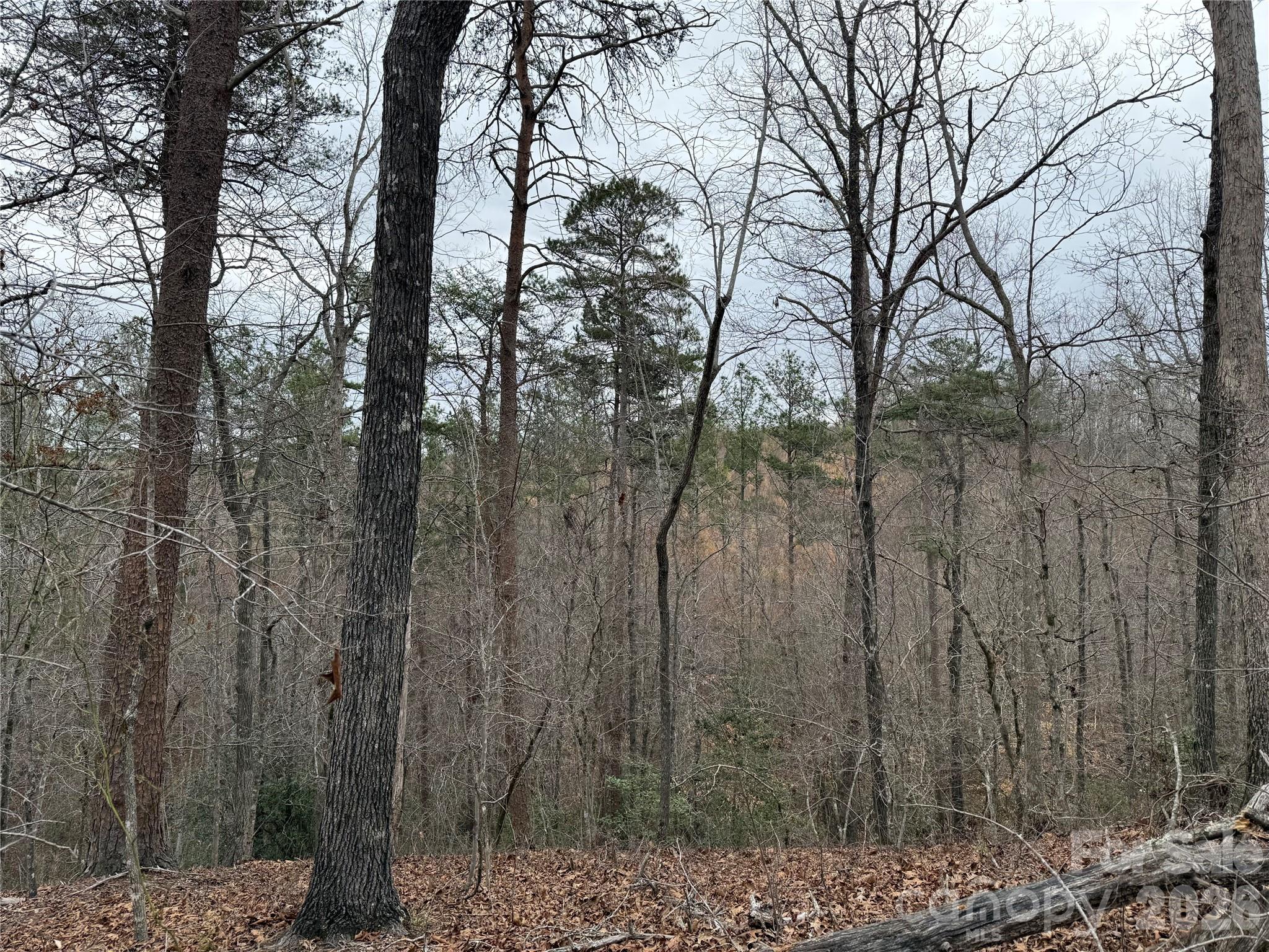0 Shady Bark Lane Rutherfordton NC 28139