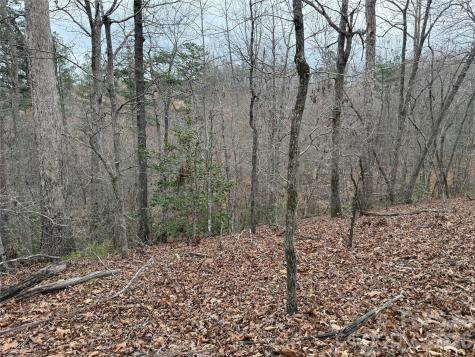 0 Shady Bark Lane Rutherfordton NC 28139