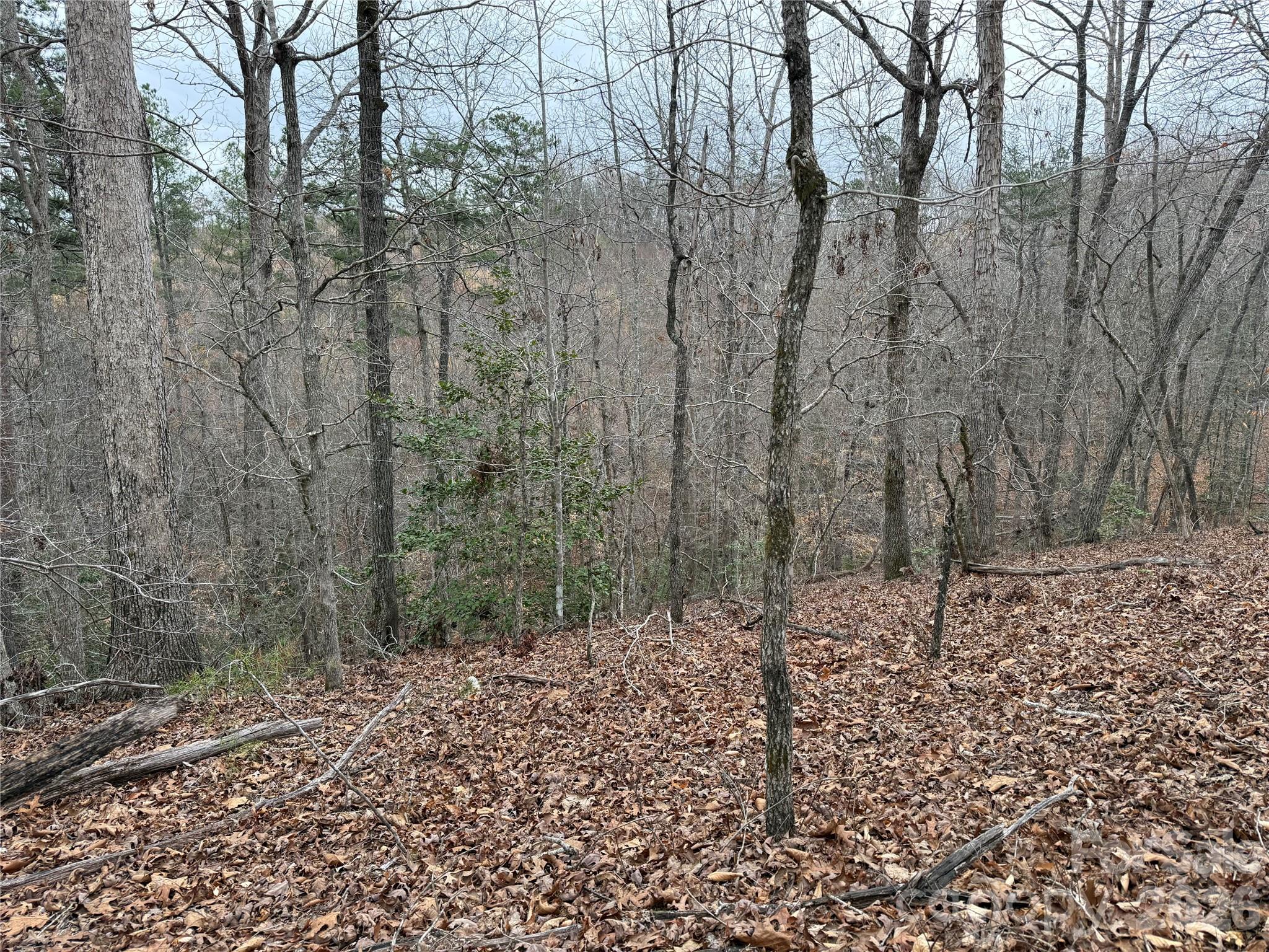 0 Shady Bark Lane Rutherfordton NC 28139
