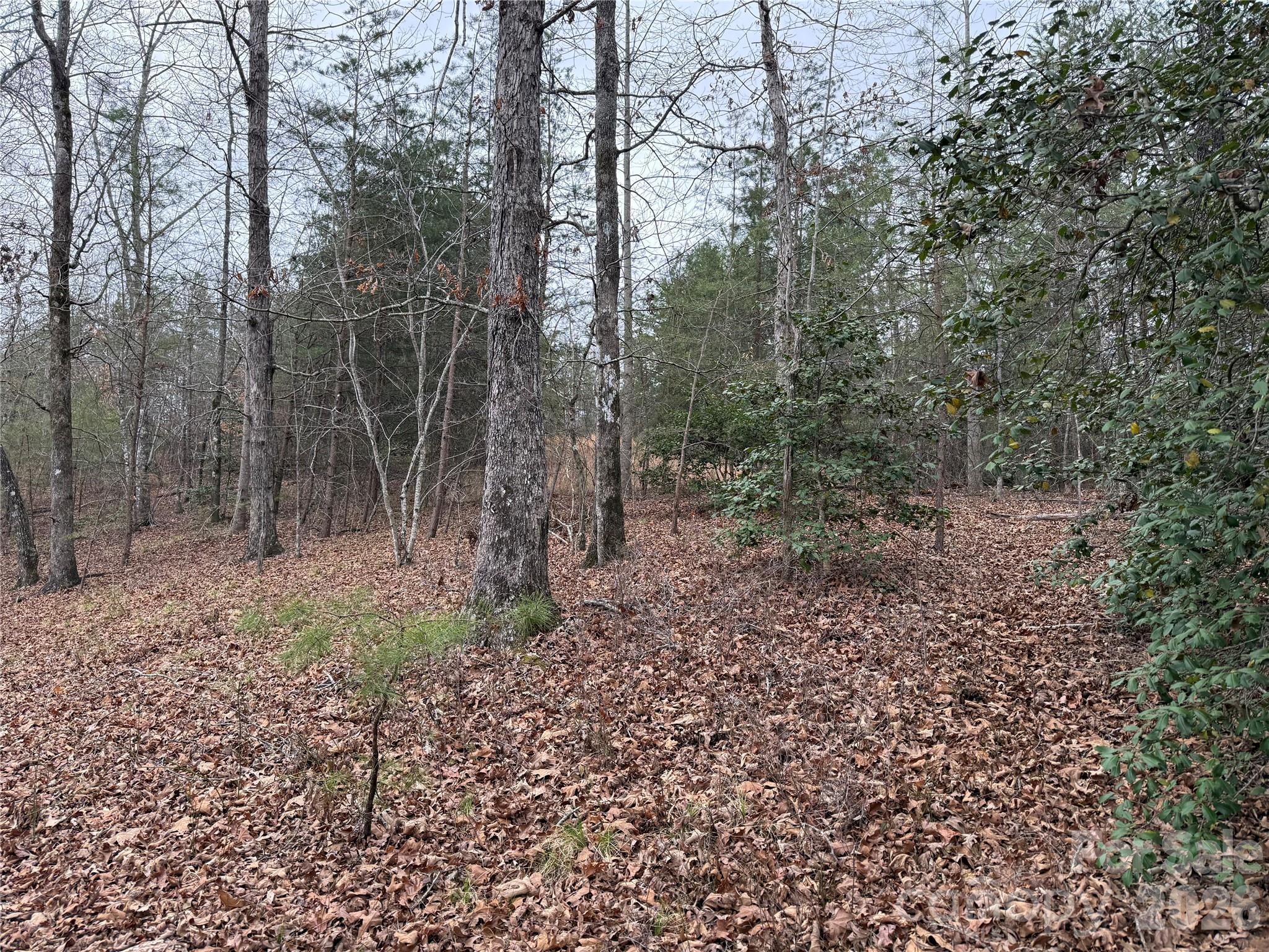 0 Shady Bark Lane Rutherfordton NC 28139