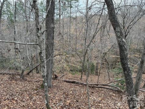 0 Shady Bark Lane Rutherfordton NC 28139