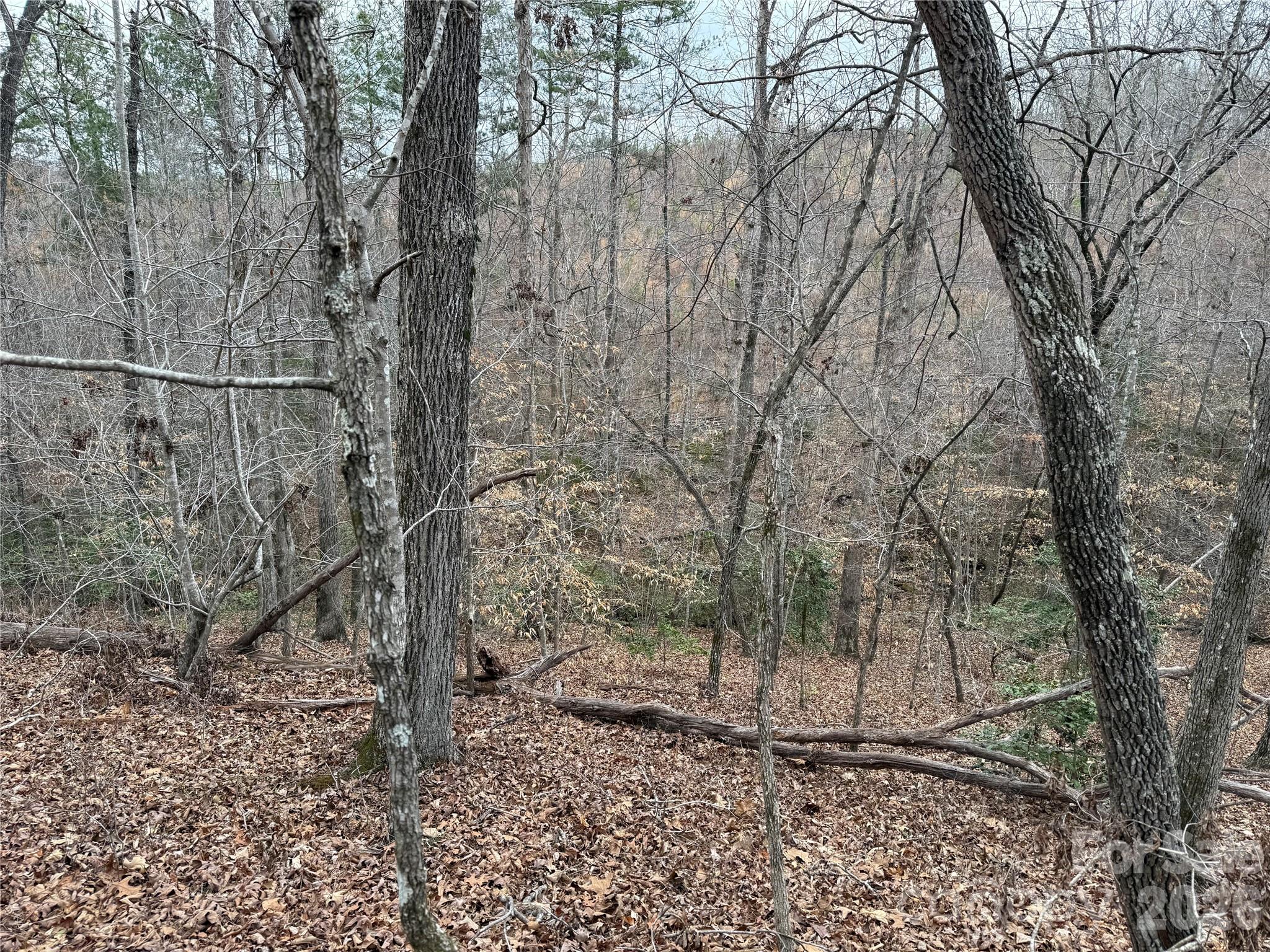 0 Shady Bark Lane Rutherfordton NC 28139