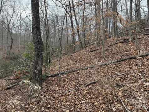 0 Shady Bark Lane Rutherfordton NC 28139