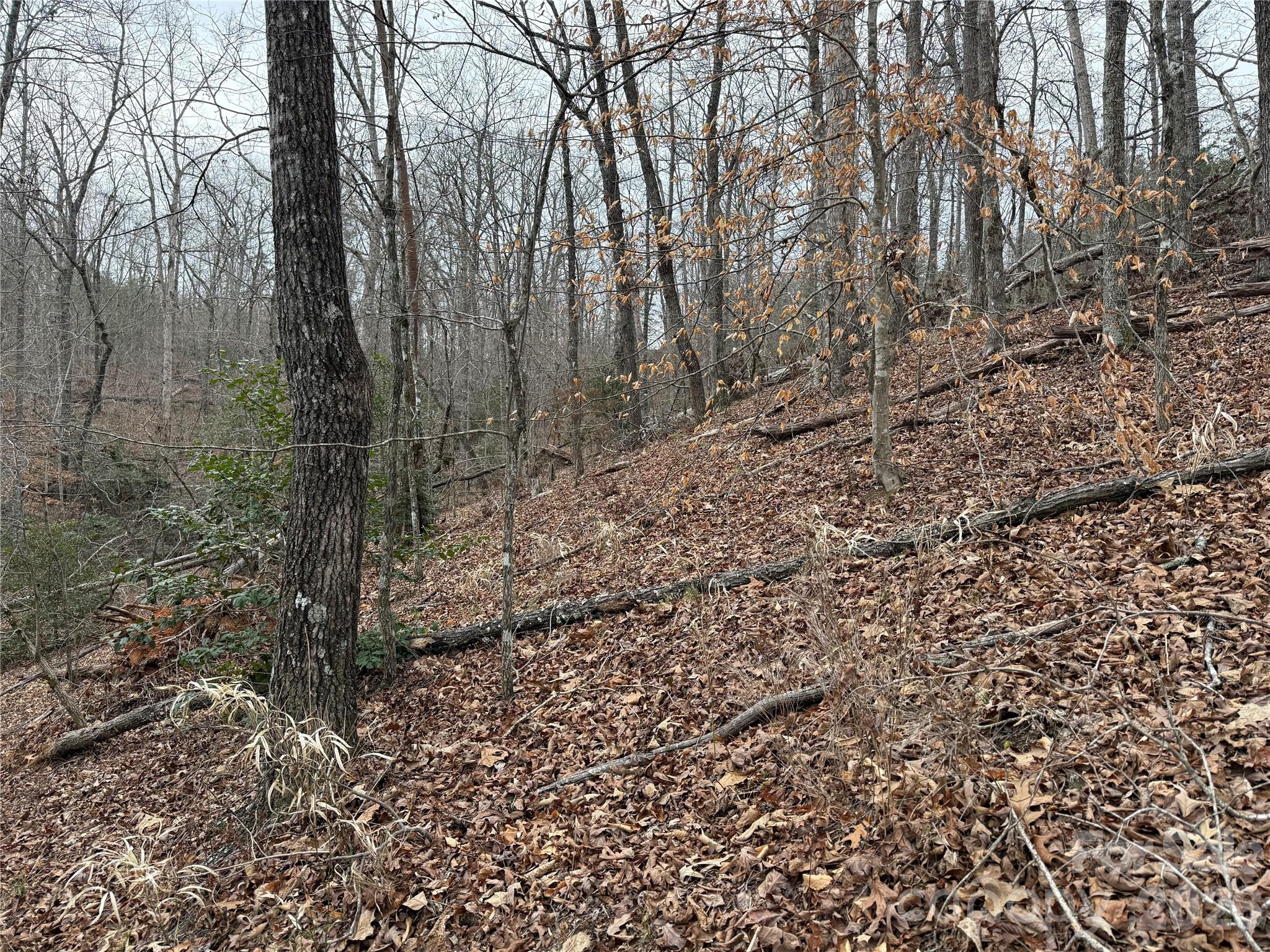 0 Shady Bark Lane Rutherfordton NC 28139