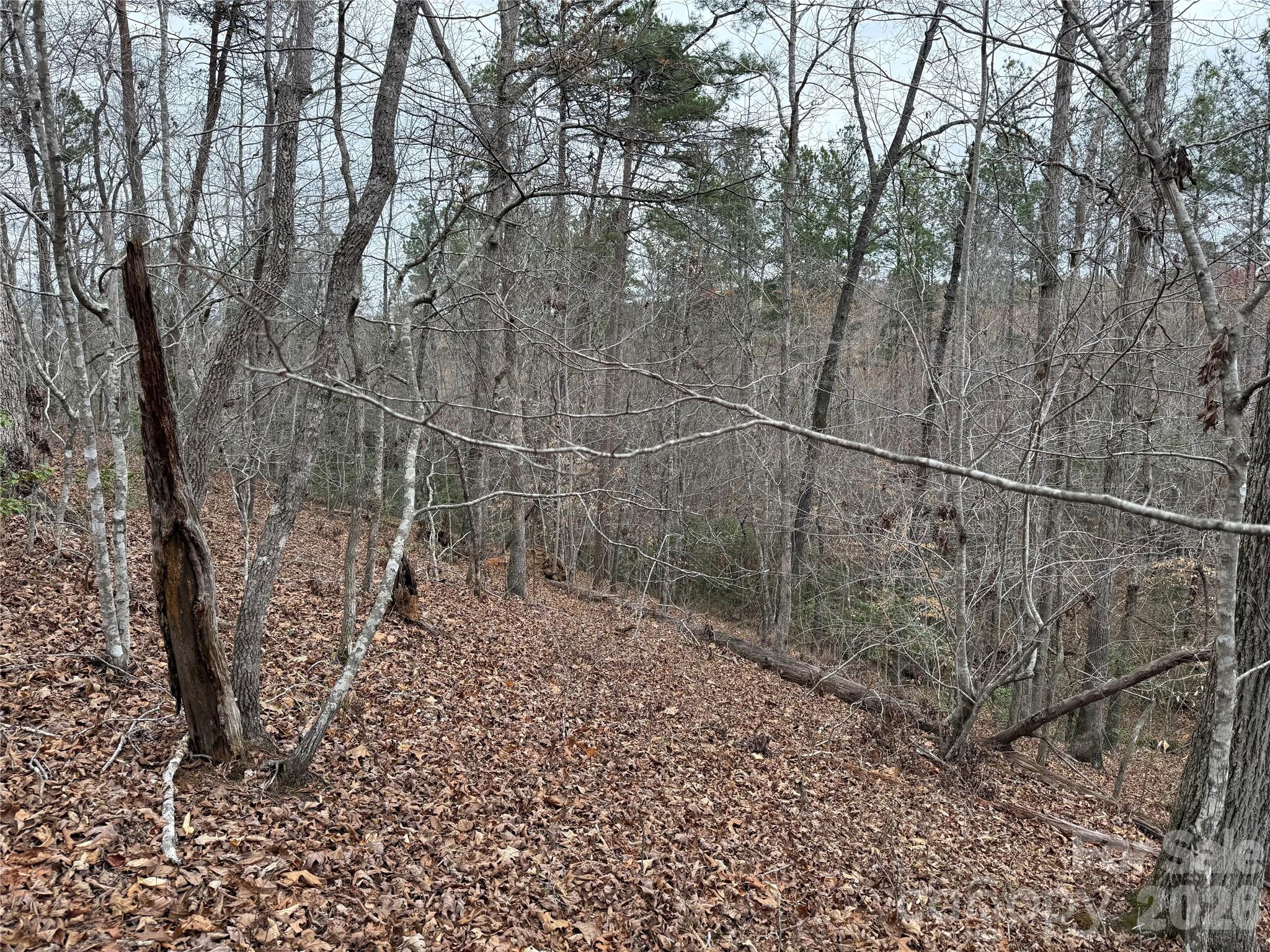0 Shady Bark Lane Rutherfordton NC 28139