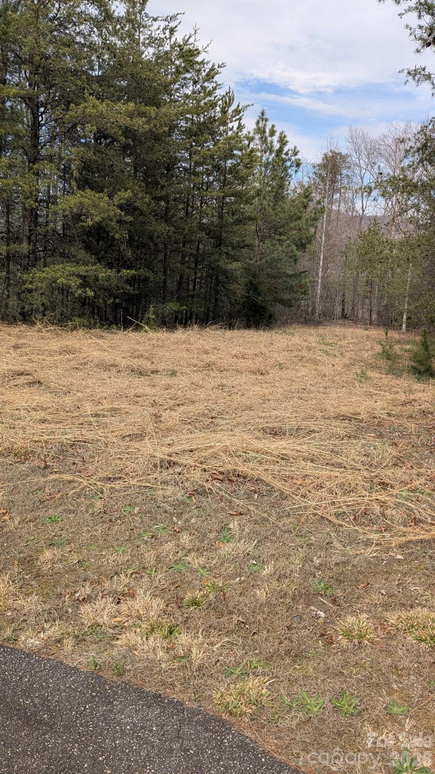 0 Shady Bark Lane Rutherfordton NC 28139