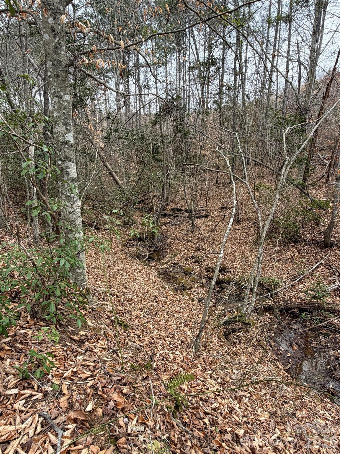 0 Shady Bark Lane Rutherfordton NC 28139