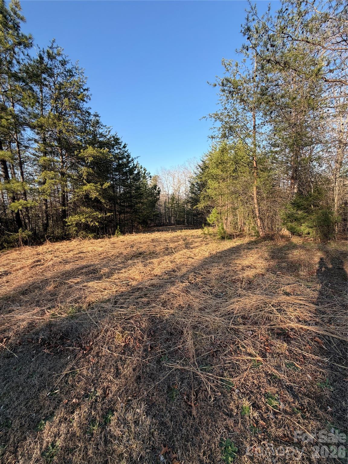0 Shady Bark Lane Rutherfordton NC 28139