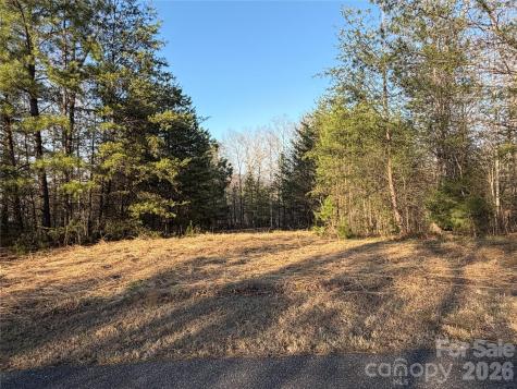 0 Shady Bark Lane Rutherfordton NC 28139