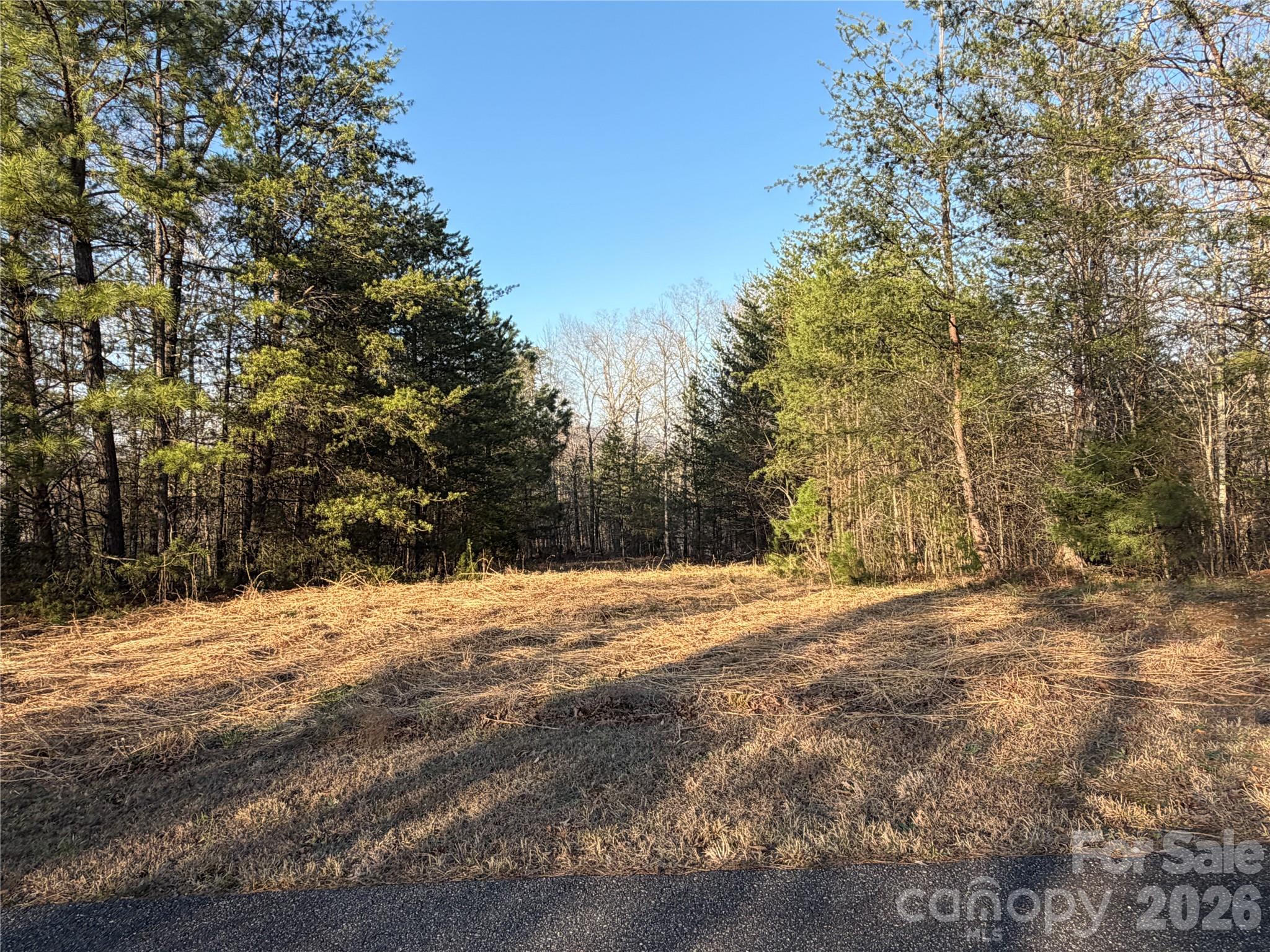 0 Shady Bark Lane Rutherfordton NC 28139