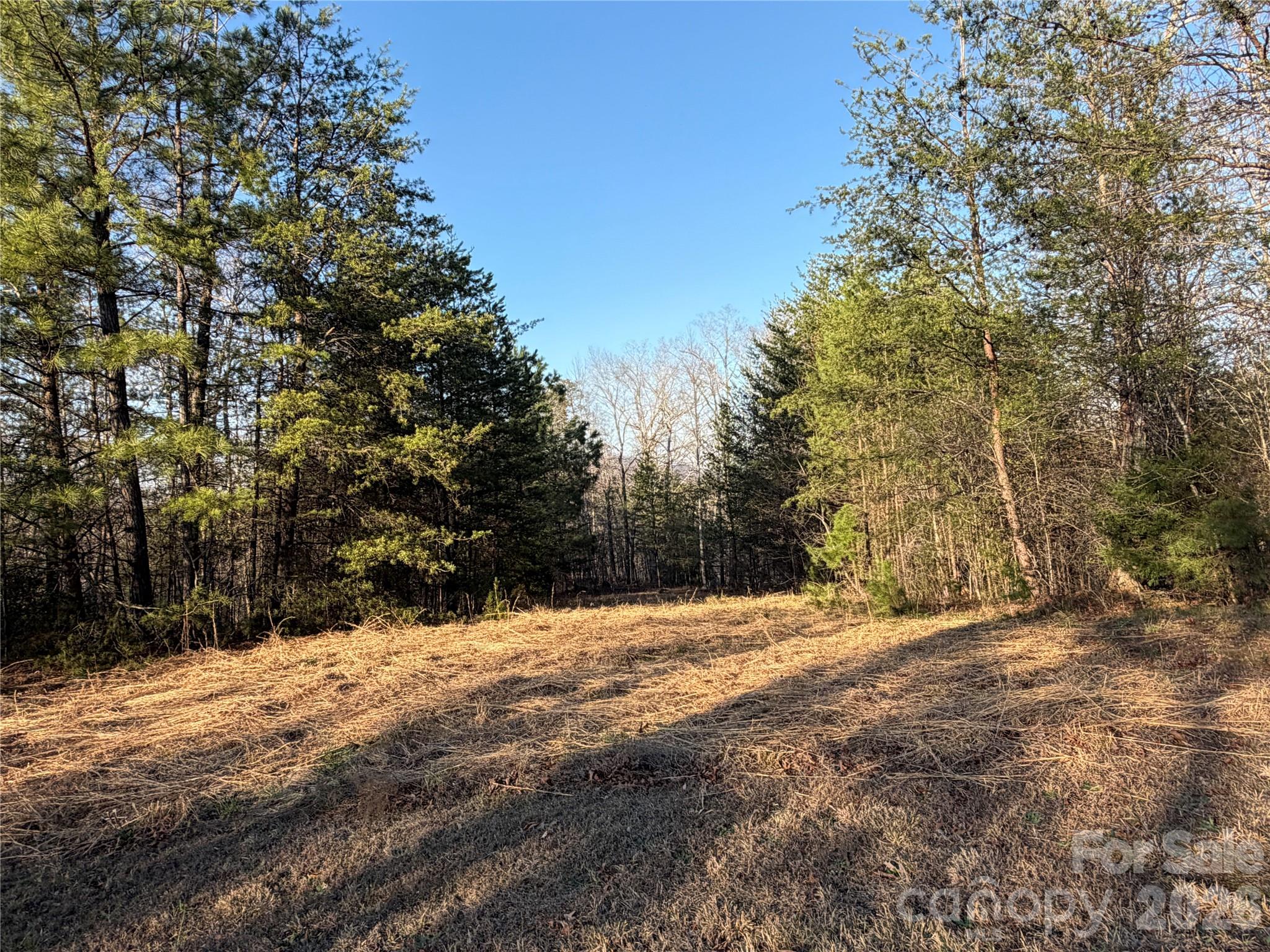 0 Shady Bark Lane Rutherfordton NC 28139