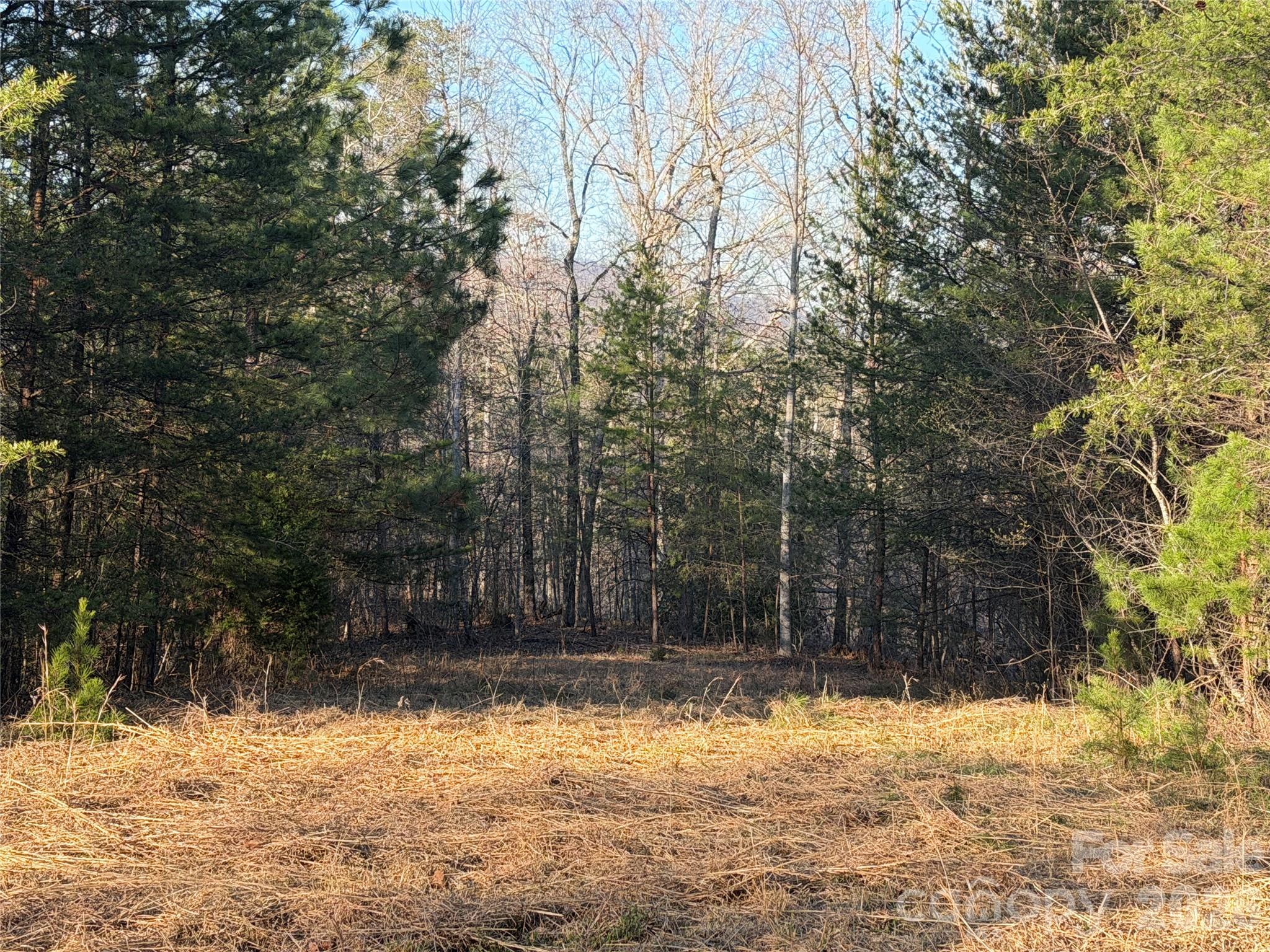 0 Shady Bark Lane Rutherfordton NC 28139