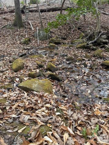 0 Shady Bark Lane Rutherfordton NC 28139