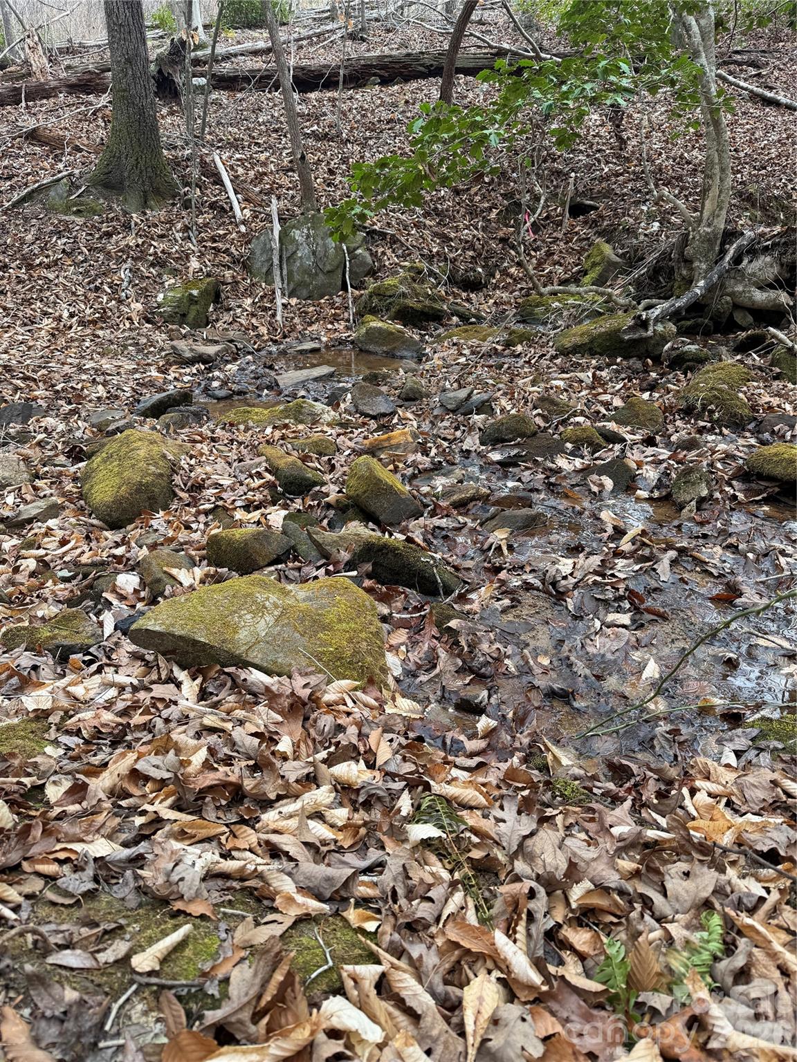 0 Shady Bark Lane Rutherfordton NC 28139