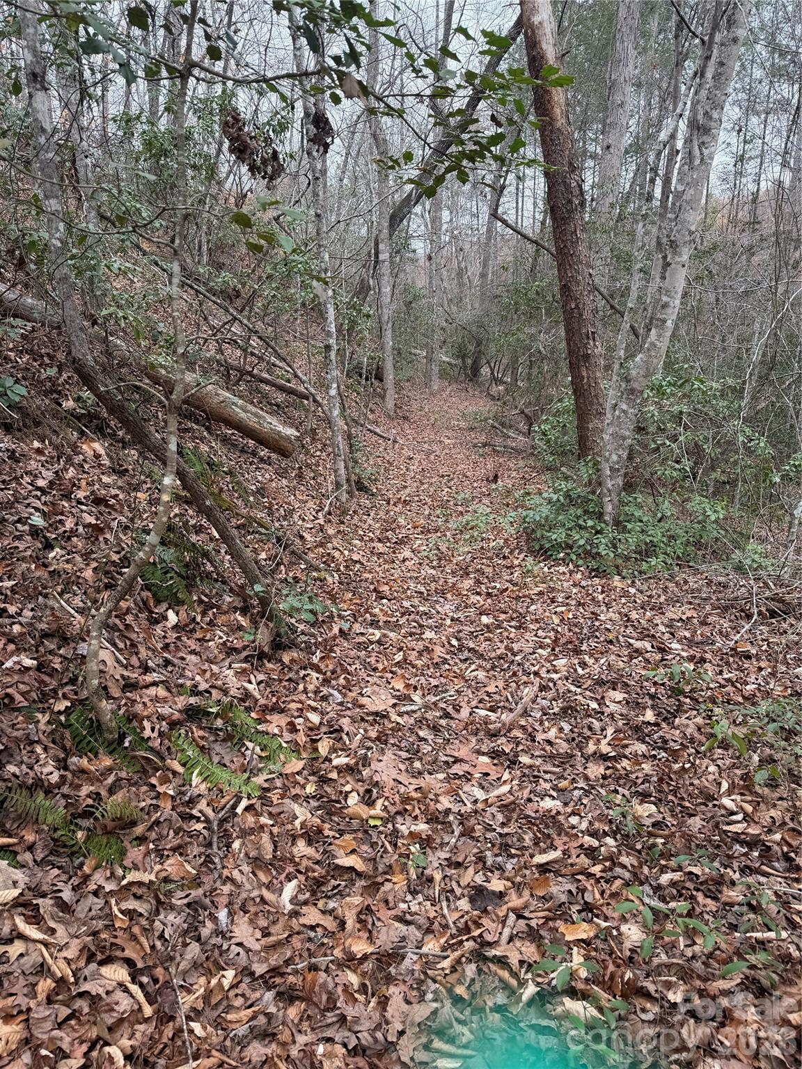 0 Shady Bark Lane Rutherfordton NC 28139