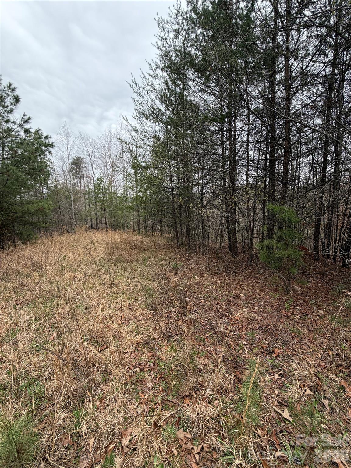 0 Shady Bark Lane Rutherfordton NC 28139