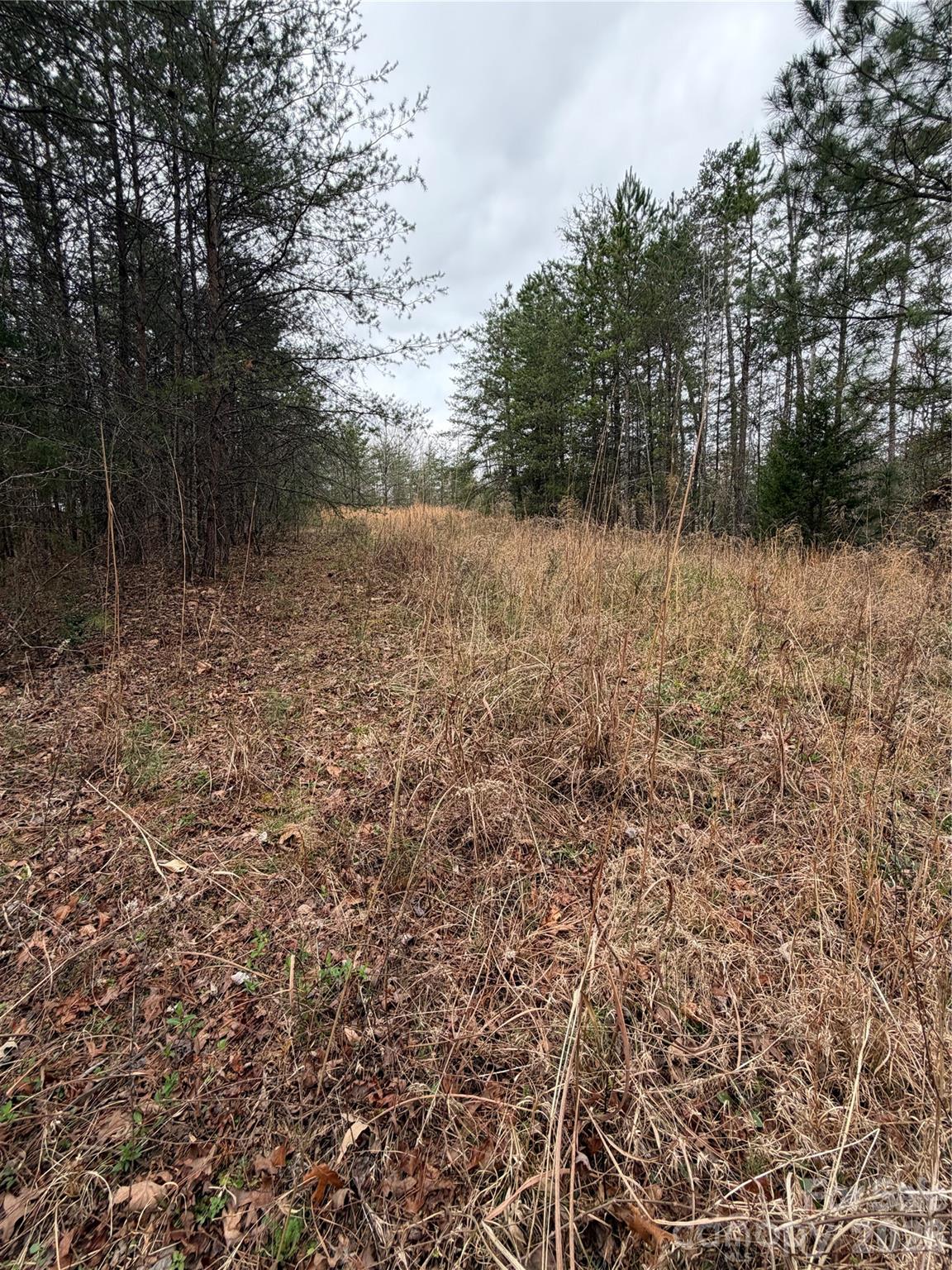 0 Shady Bark Lane Rutherfordton NC 28139