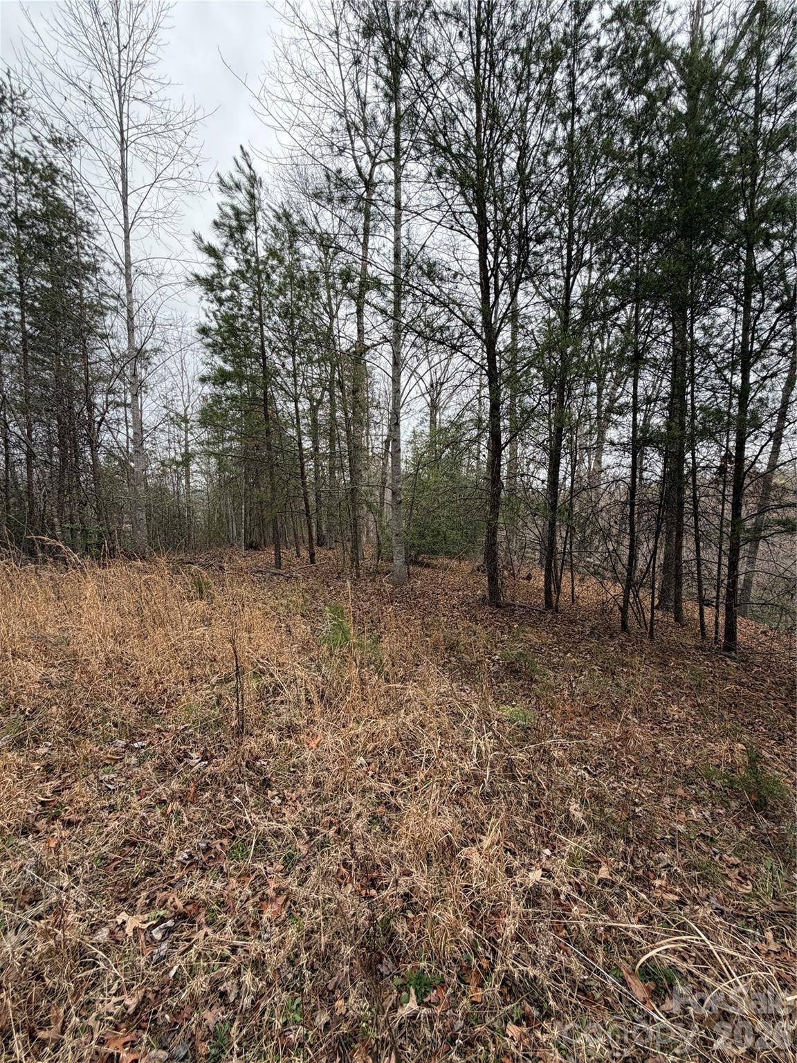 0 Shady Bark Lane Rutherfordton NC 28139