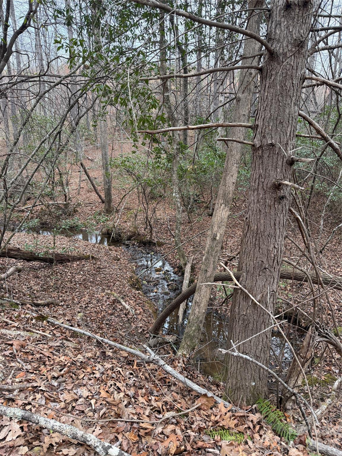 0 Shady Bark Lane Rutherfordton NC 28139
