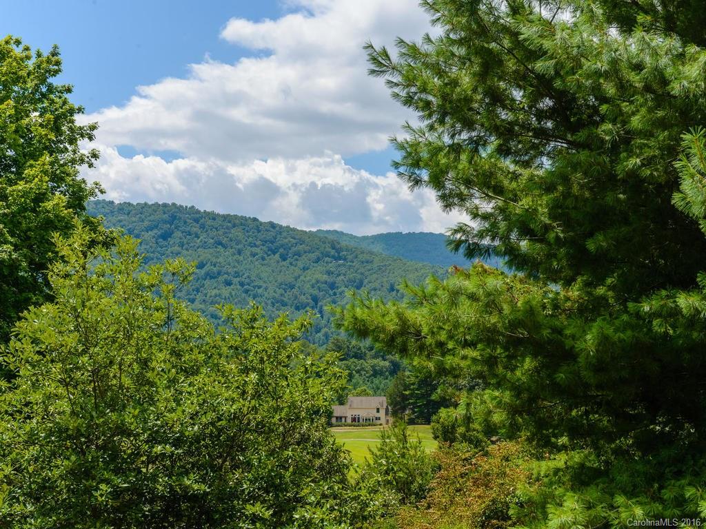 8 Valley Drive Weaverville NC 28787