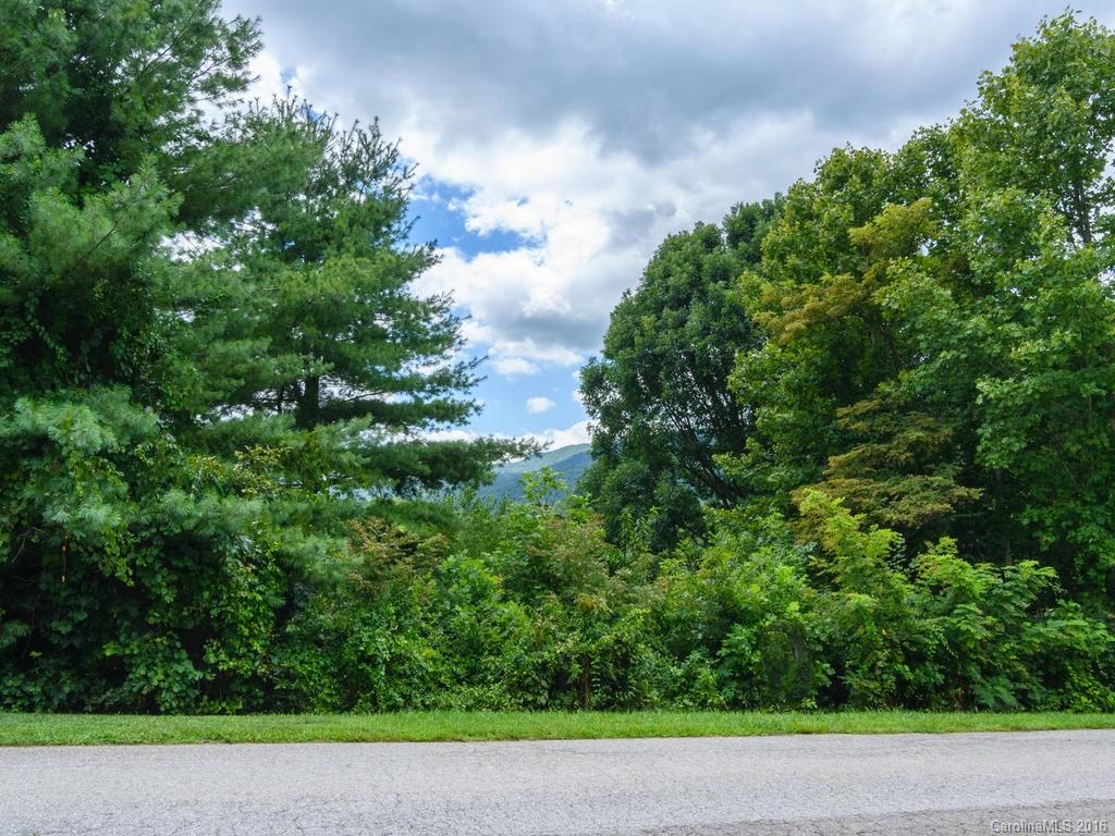 8 Valley Drive Weaverville NC 28787