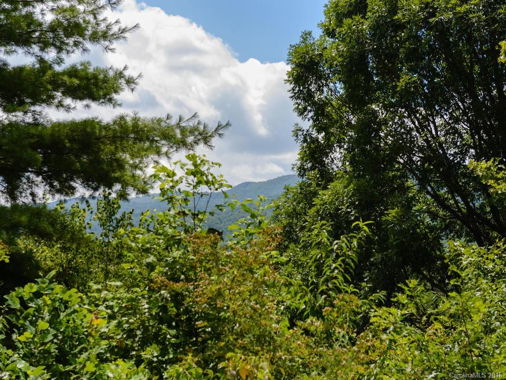 8 Valley Drive Weaverville NC 28787