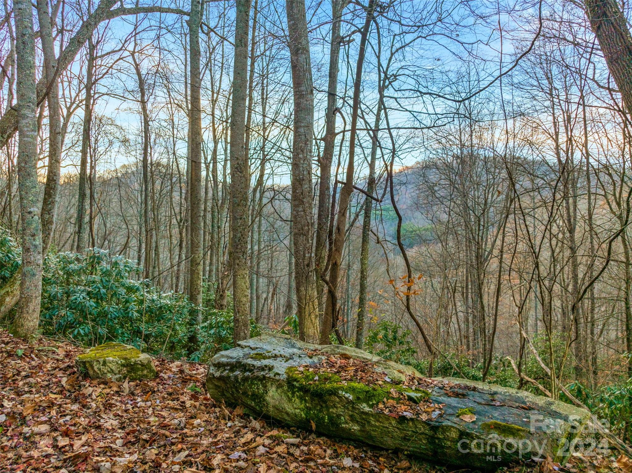 370 Cabin Creek Trail Mars Hill NC 28754