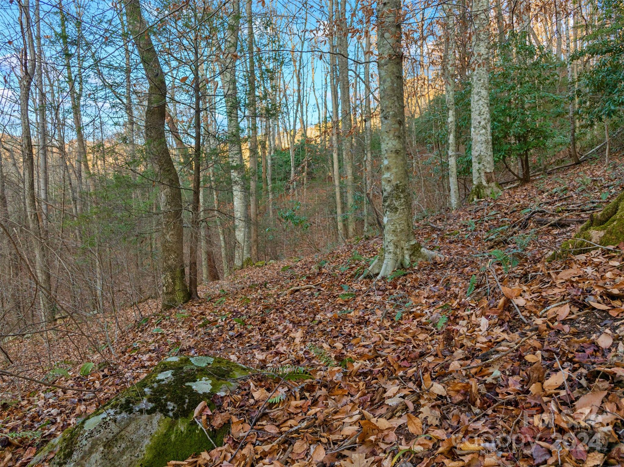 370 Cabin Creek Trail Mars Hill NC 28754