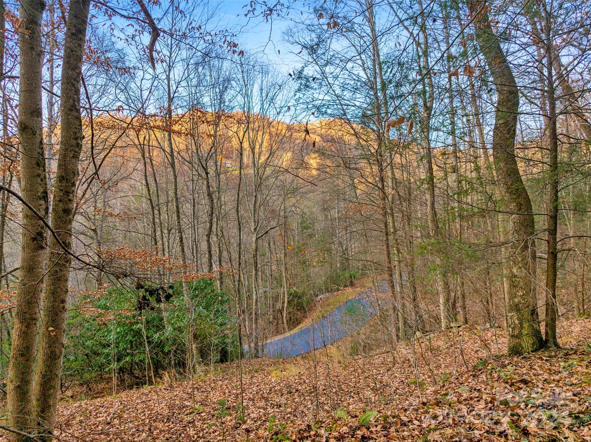 370 Cabin Creek Trail Mars Hill NC 28754