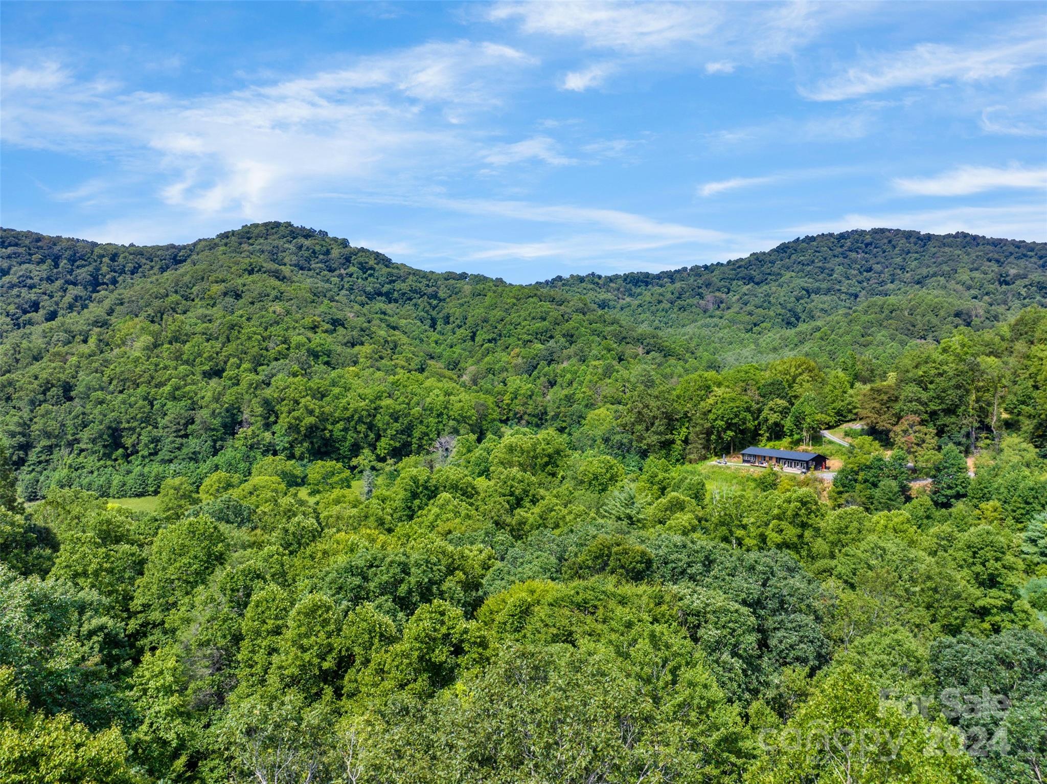 370 Cabin Creek Trail Mars Hill NC 28754