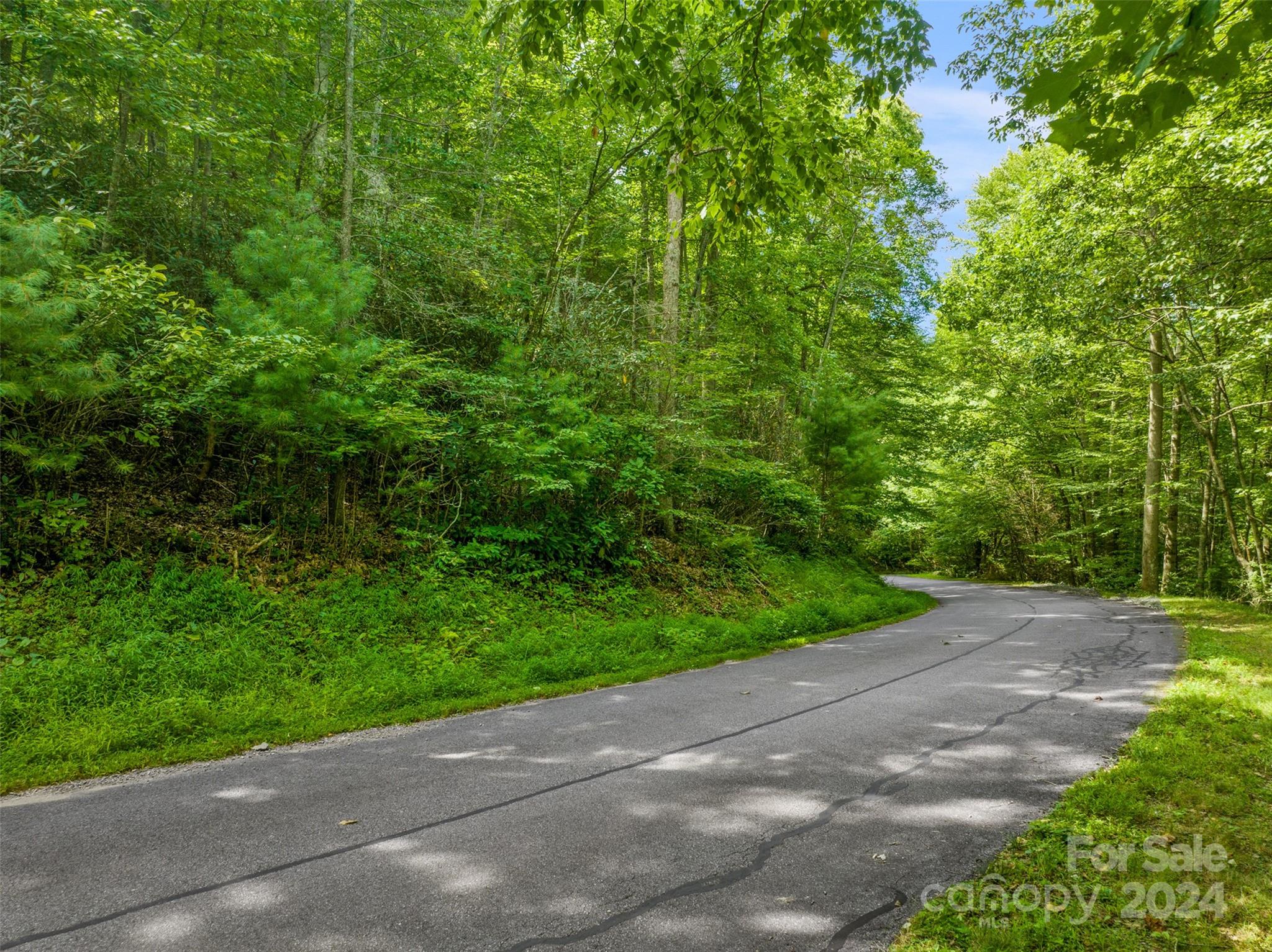 370 Cabin Creek Trail Mars Hill NC 28754