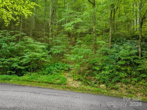 370 Cabin Creek Trail Mars Hill NC 28754