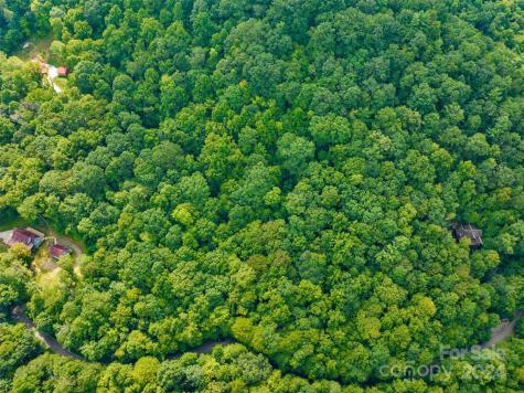 370 Cabin Creek Trail Mars Hill NC 28754