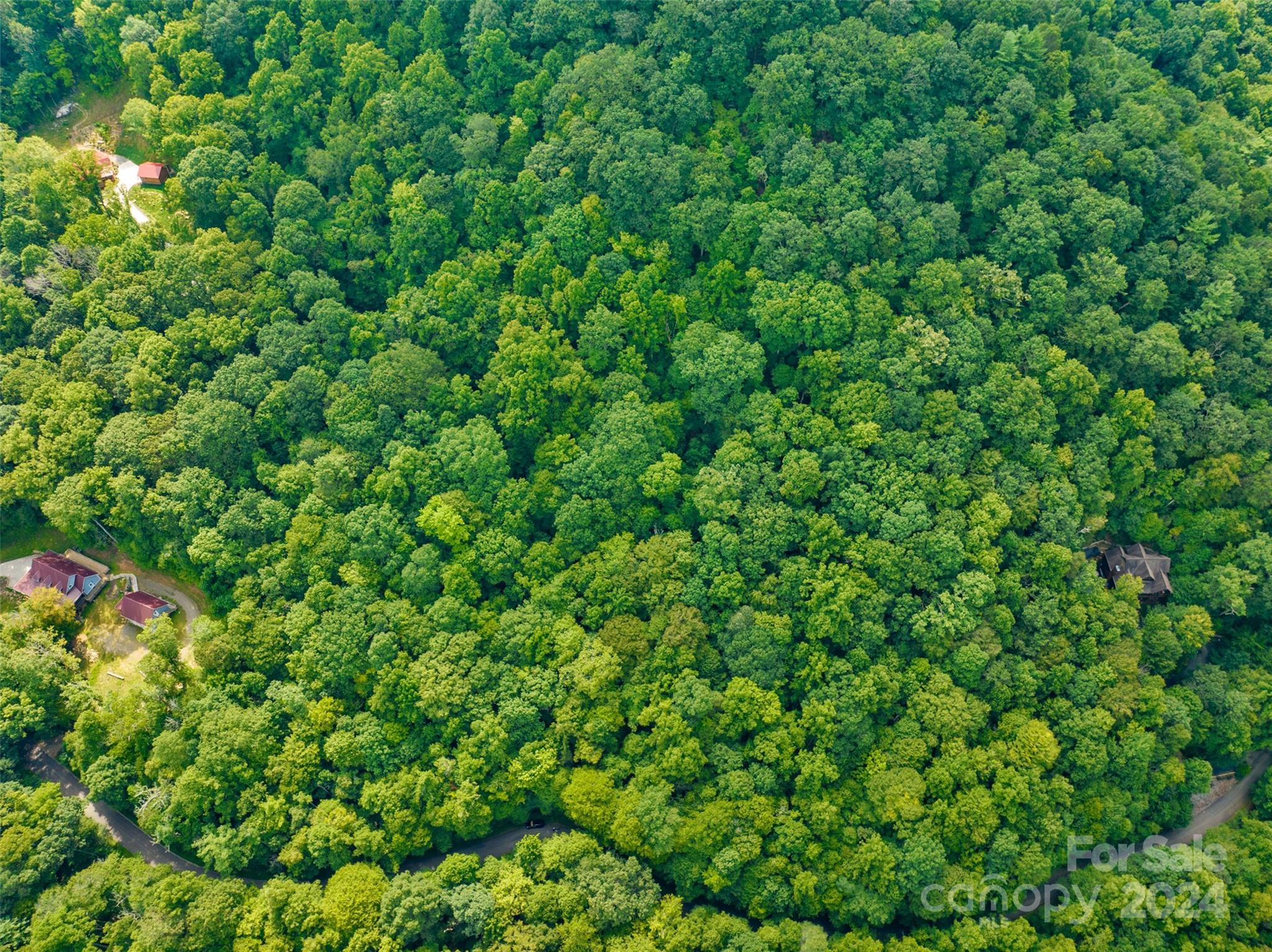 370 Cabin Creek Trail Mars Hill NC 28754