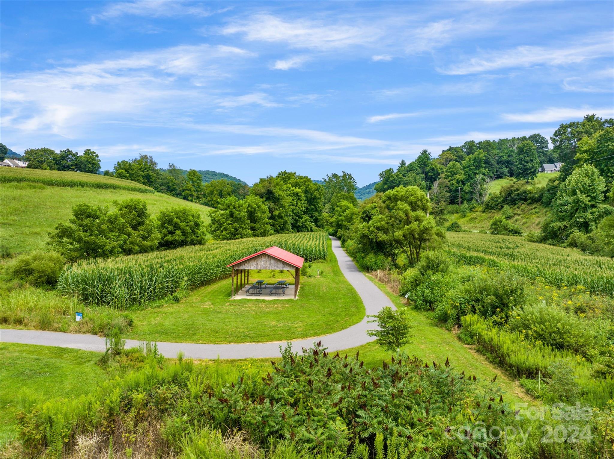 370 Cabin Creek Trail Mars Hill NC 28754
