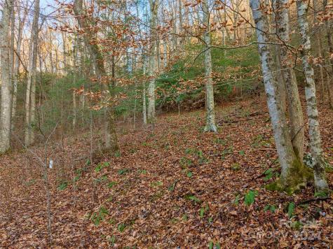 370 Cabin Creek Trail Mars Hill NC 28754