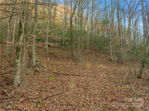 370 Cabin Creek Trail Mars Hill NC 28754