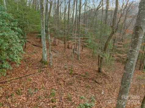 370 Cabin Creek Trail Mars Hill NC 28754