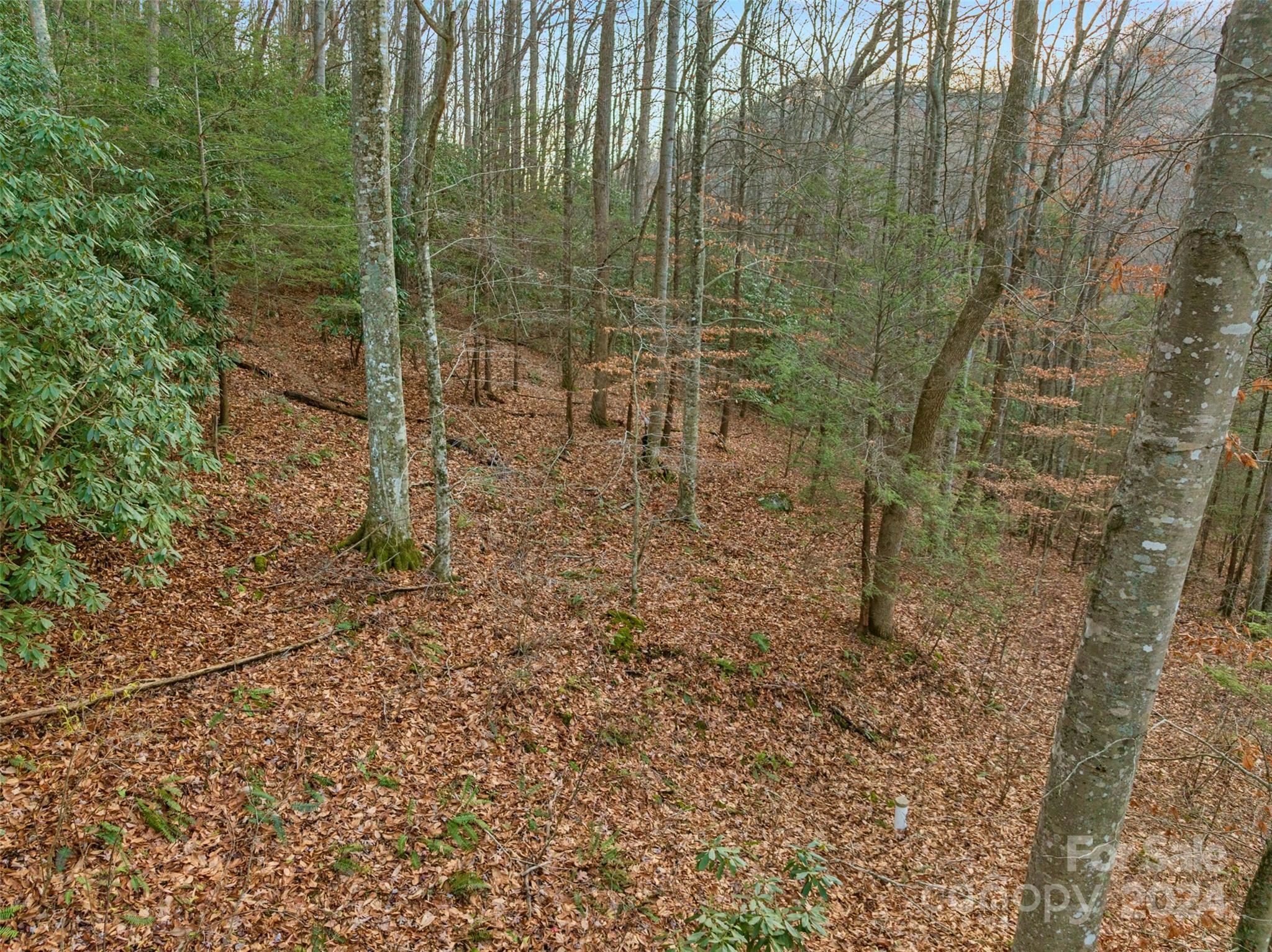 370 Cabin Creek Trail Mars Hill NC 28754