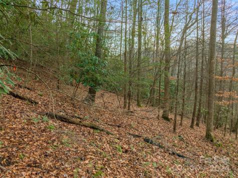 370 Cabin Creek Trail Mars Hill NC 28754