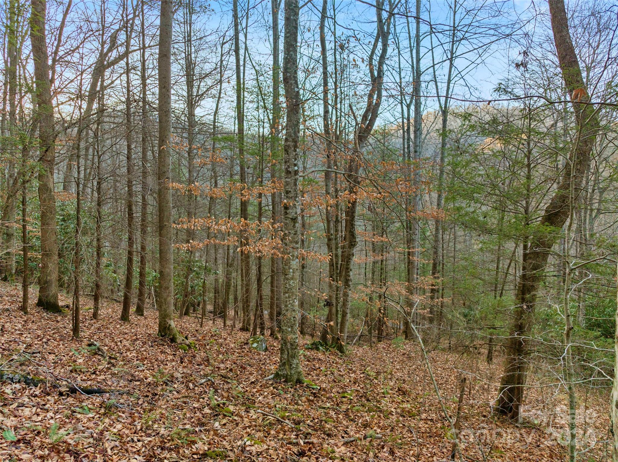 370 Cabin Creek Trail Mars Hill NC 28754