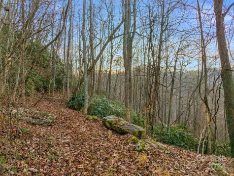 370 Cabin Creek Trail Mars Hill NC 28754