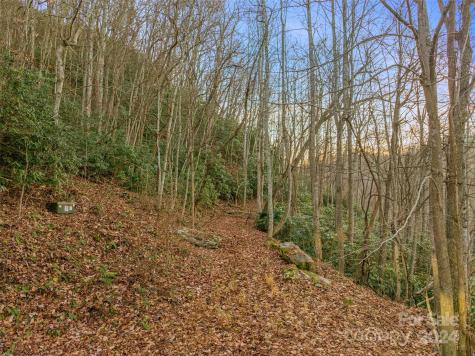 370 Cabin Creek Trail Mars Hill NC 28754