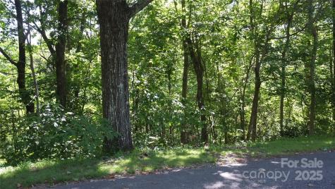 0 Sunset Ridge Drive Columbus NC 28722
